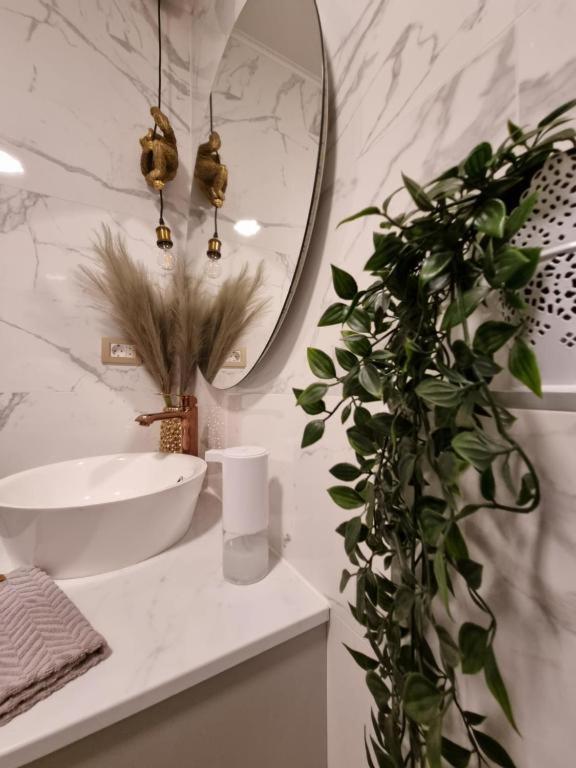 Apartment Amour Luxe Split Zewnętrze zdjęcie